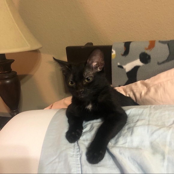 Meet your Posher, Mari - Picture 10 of 11